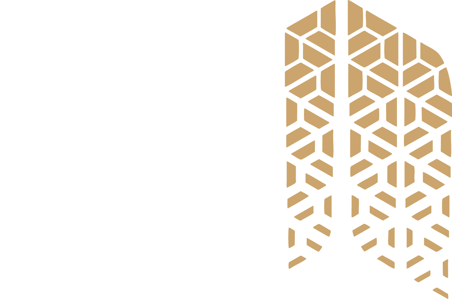 Mardanlou Partners